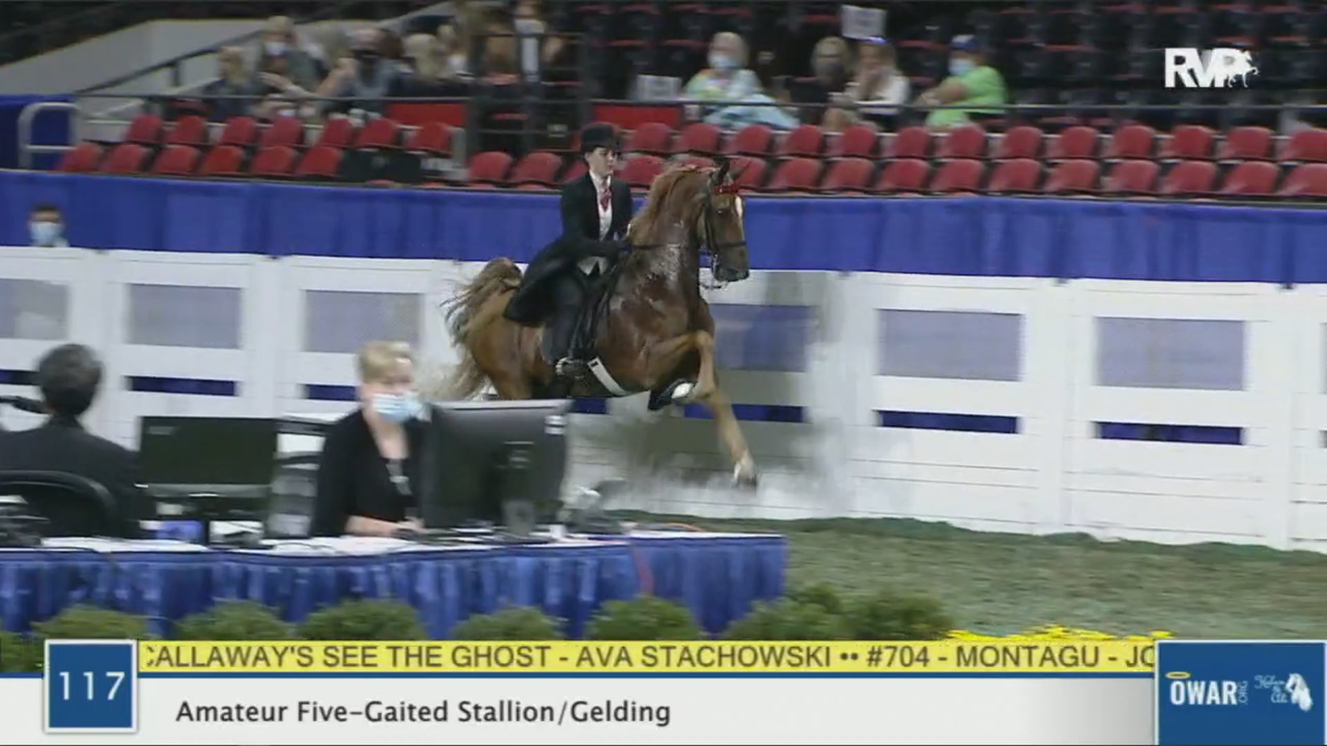 WCHS 2020 Class 117 - Amateur Five-Gaited Stallion:Gelding