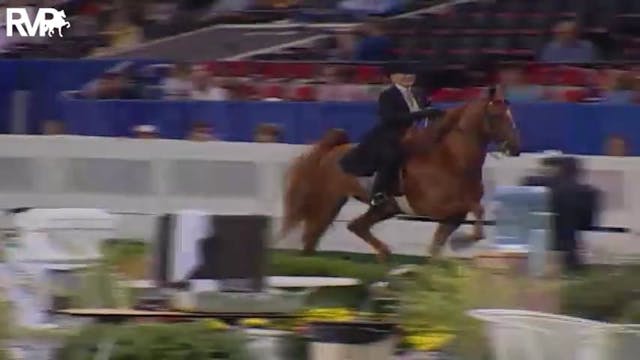 2004 World's Championship Horse Show ...