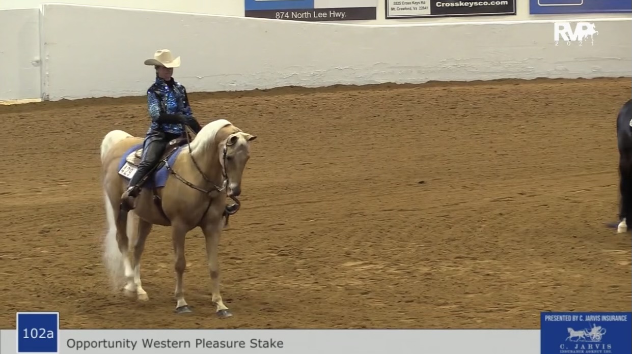 BB21 - Class 102A - Opportunity Western Pleasure Stake