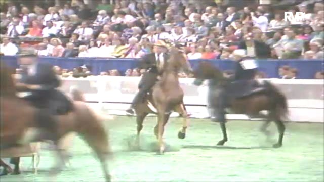 1992 WCHS Class 126 Three Year Old Th...