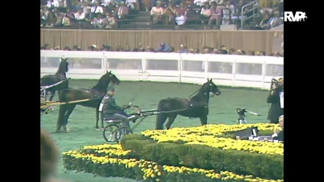 1988 WCHS Class 151 Roadster Pony Cha...