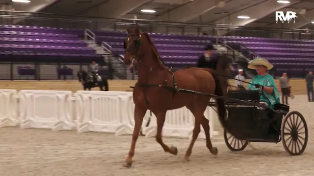 CC26 - Class 54 - ASB Country Pleasur...