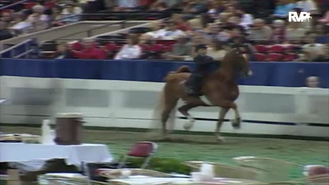 2000 WCHS Class 173 Equitation Walk T...