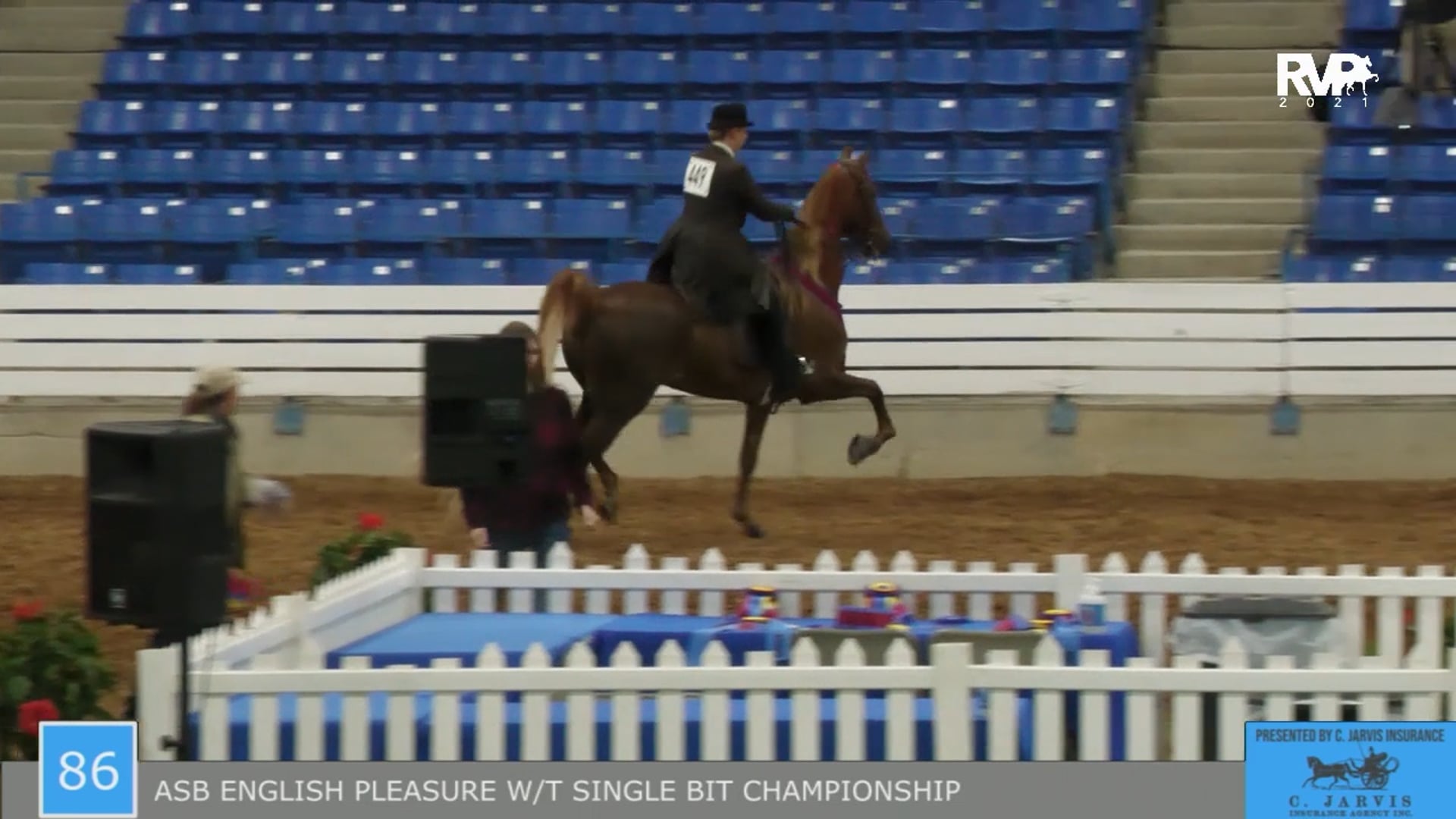 SSSF21 - Class 86 -  ASB English Pleasure WT Single Bit Championship 