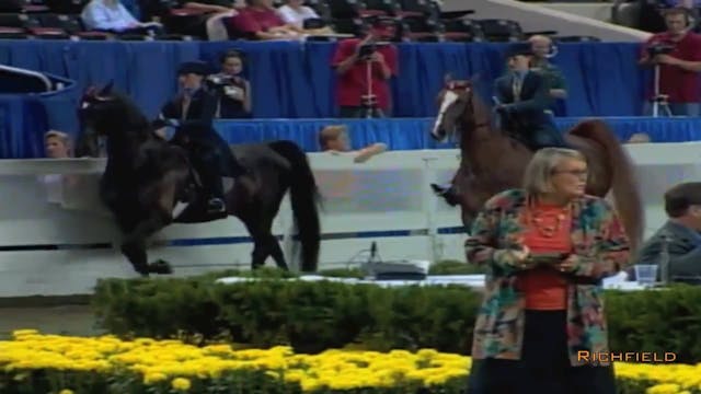 2002 WCHS Class 79 Three Gaited Show ...