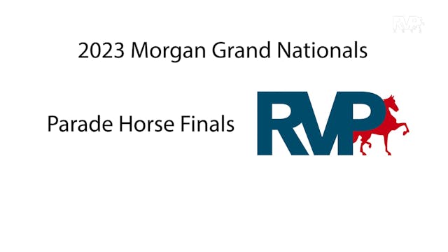 MGN23 - Class 151 - Parade Horse Finals