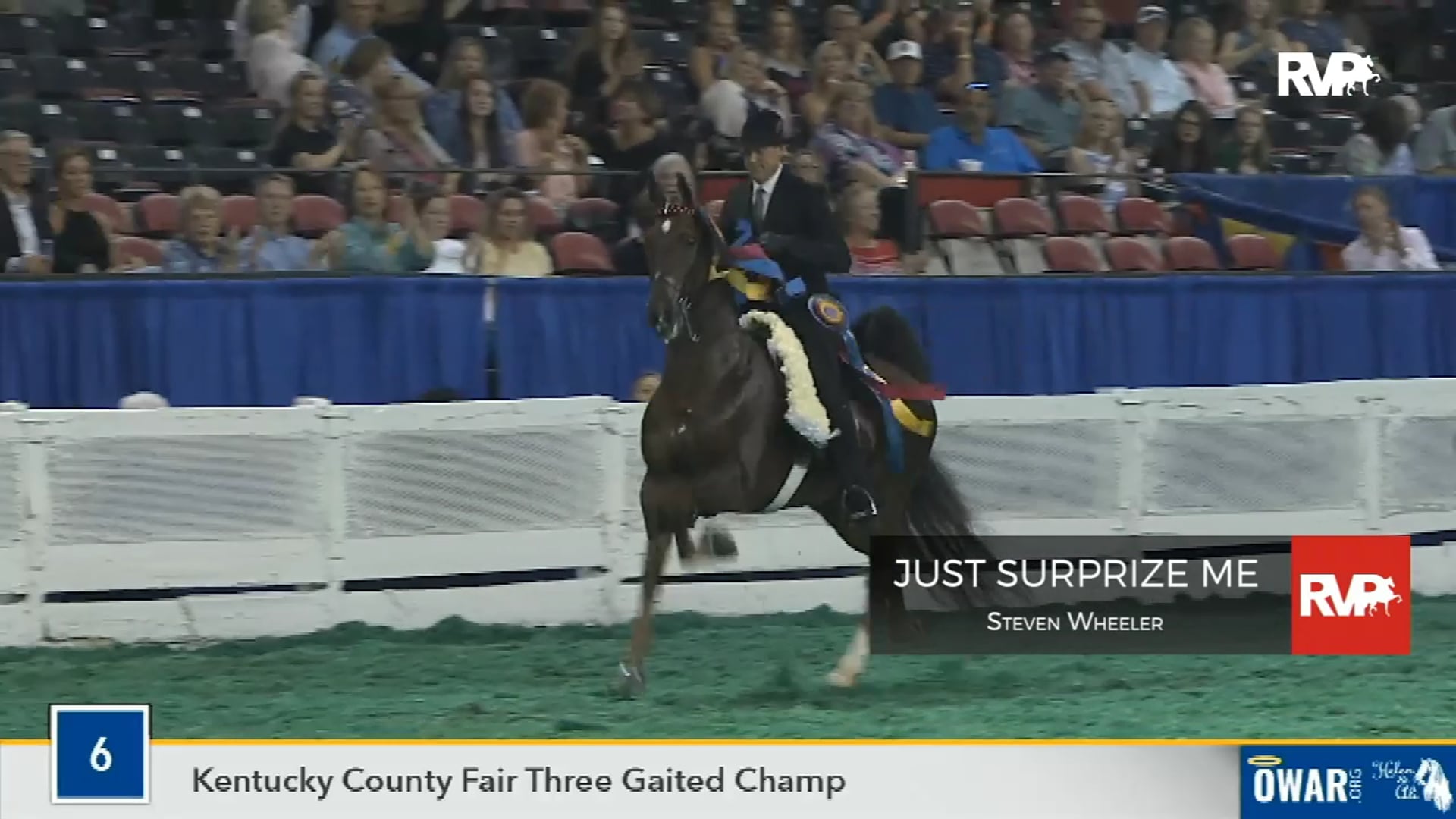 2019 World's Championship Horse Show - Wednesday Morning