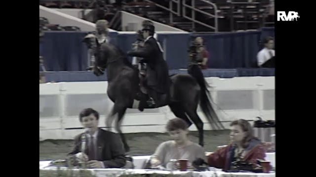 1997 WCHS - Class 151 Amateur Park Stake