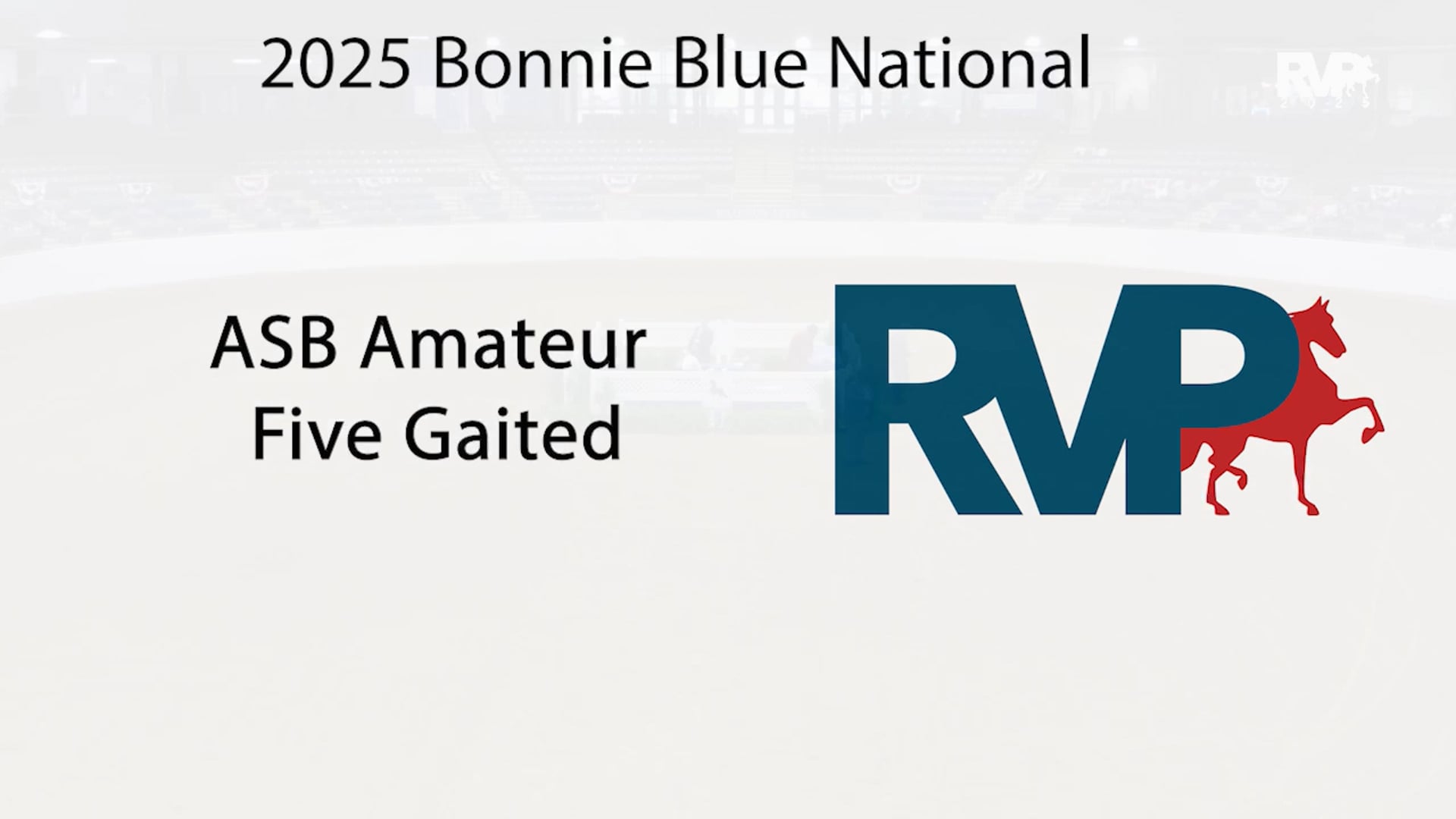 BB25 - Class 47 - ASB Amateur  Five Gaited