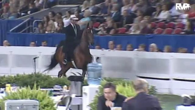 2010 World's Championship Horse Show ...