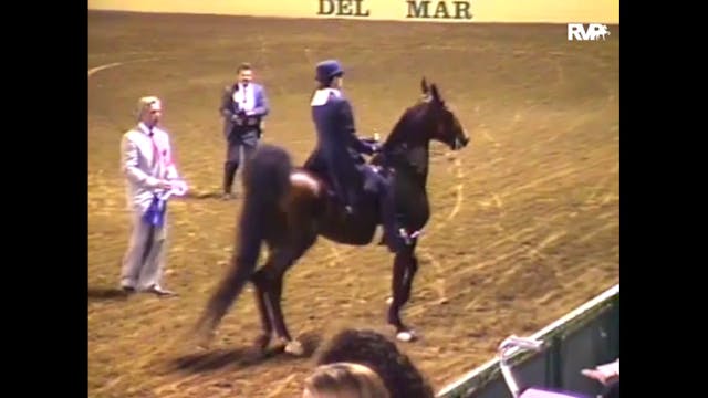 1995 Del Mar Chairty Fair Horse Show ...