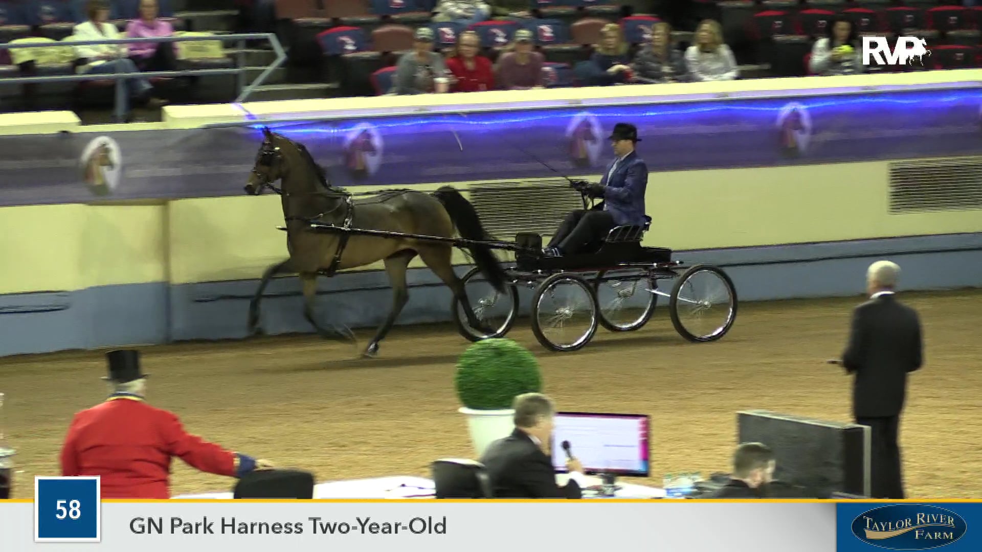 2019 Morgan Grand National - Coliseum - Sunday Evening