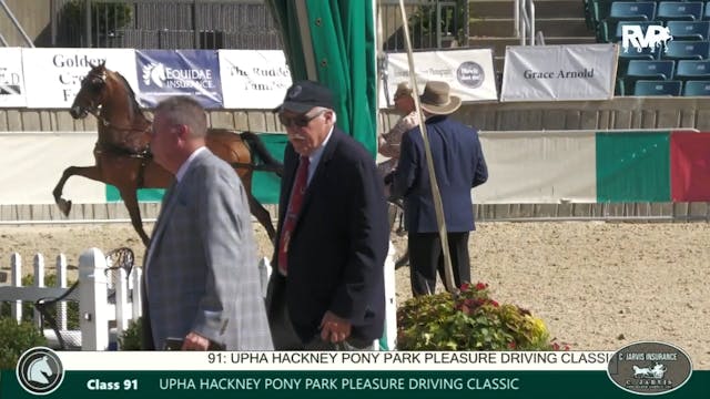 LJL22 - Class 91 - UPHA Hackney Pony ...