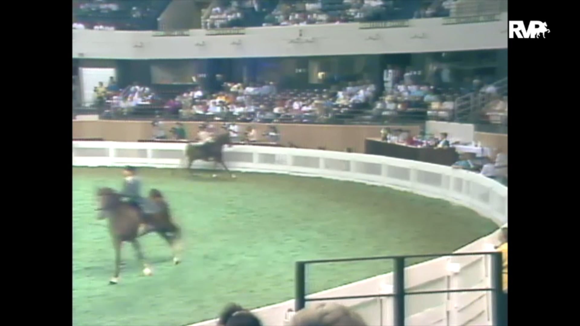 1989 WCHS Class 70 Amateur Five Gaited Stallion or Gelding