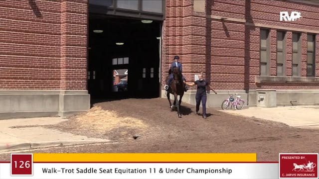 2020 JMHS - Class 126 Walk:Trot Saddl...