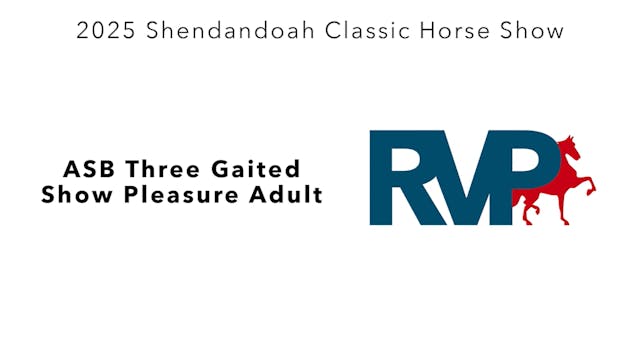 SC25 - Class 50 - ASB Three Gaited Sh...