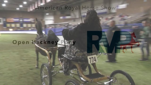 AR24 - Class 100 - Open Hackney Pony