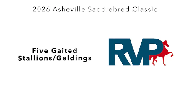 ASC26 - Class 39 - Five Gaited Stalli...