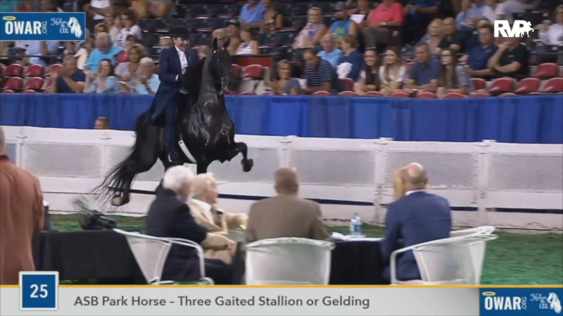 2020 UPHA Chapter 16 Spring Horse Show - Saturday Evening