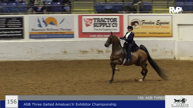 BB22 - Class 156 -  ASB Three Gaited ...