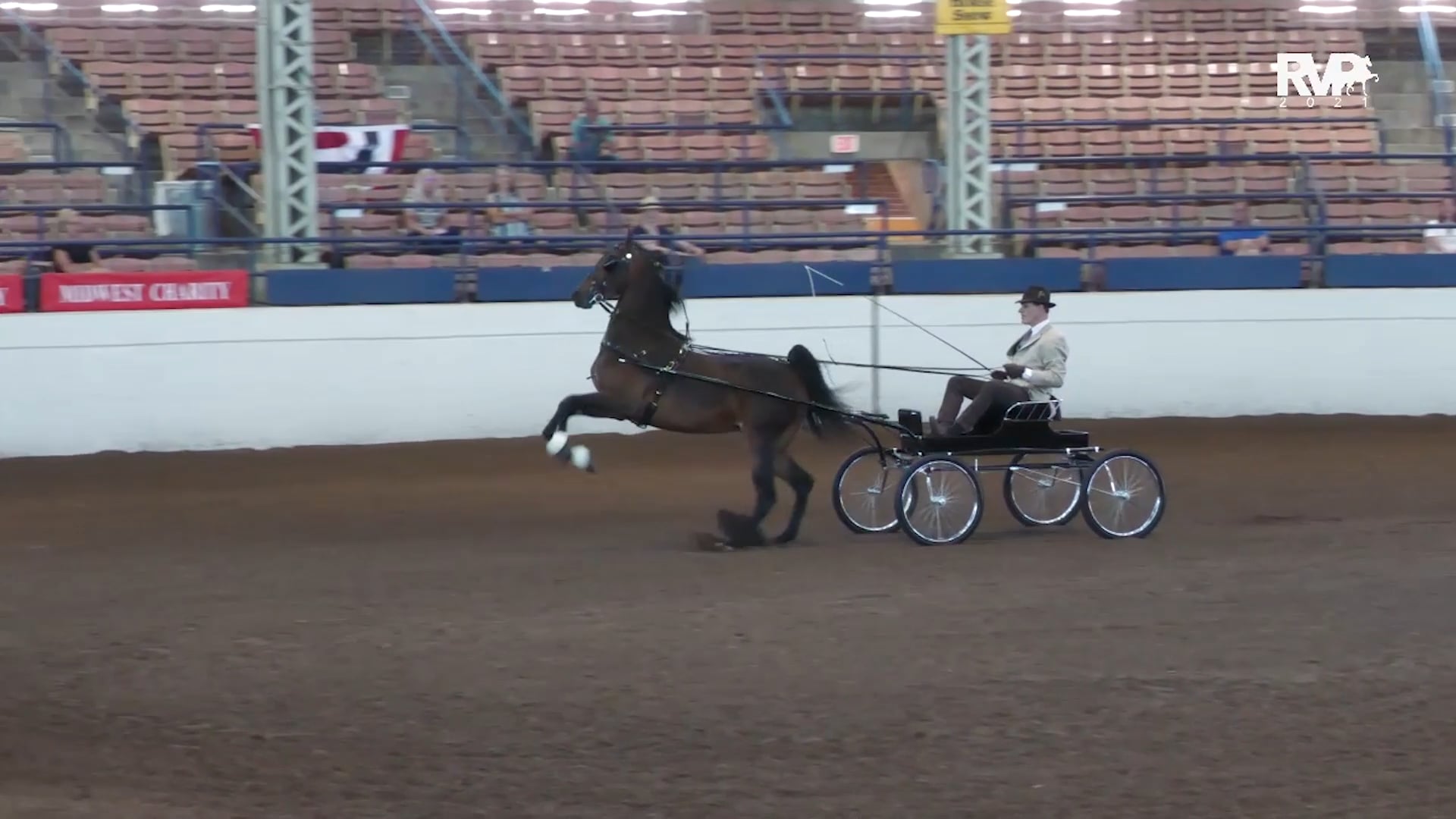 MW21 - Class 42 - ASB Fine Harness 3 Year Old