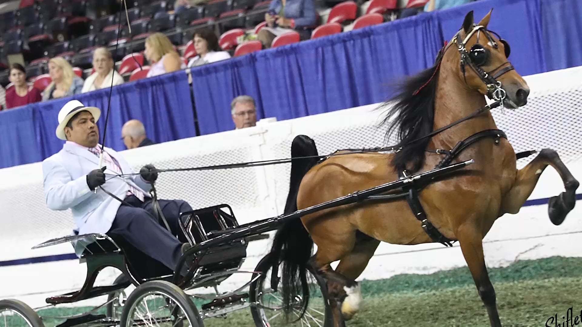 Eduardo Lopez - Trainer of the Year Award 2018