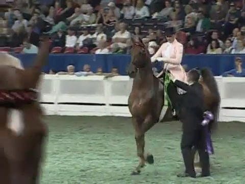 2008 WCHS Class 152 Junior Ehibitor 1...