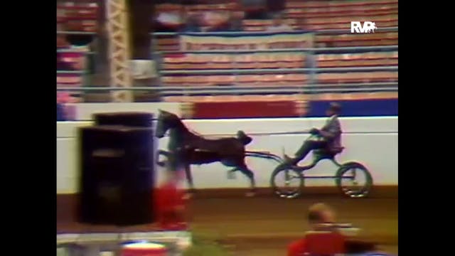 1993 Midwest Charity - Hackney Pony C...