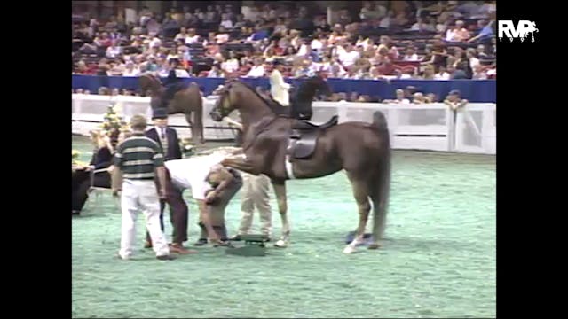 1998 WCHS - Class 56 Amateur Five Gai...