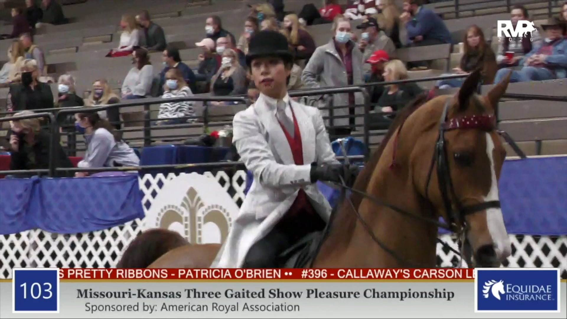 2020 AR - Class 103 MO:KS Three Gaited Show
Pleasure Championship