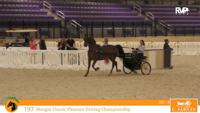 CC26 - Class 197 - Morgan Classic Ple...