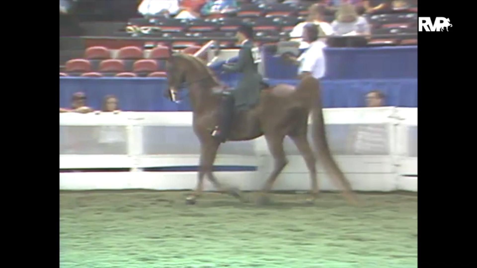1993 WCHS Class 164 Junior Exhibitor Three Gaited
Pleasure Championship