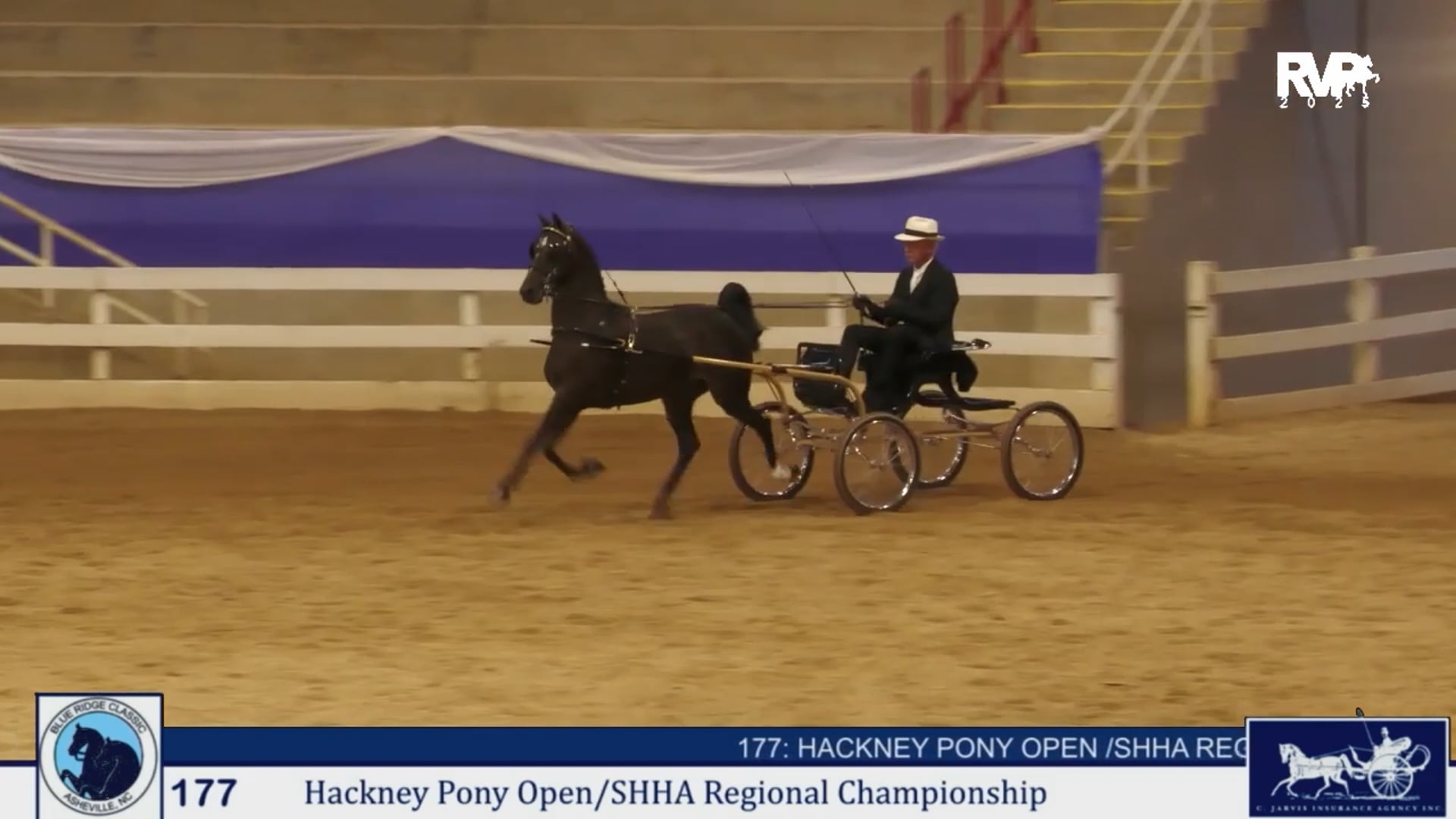 BRC25 - Class 177 - Hackney Pony Open & SHHA Regional  Championship