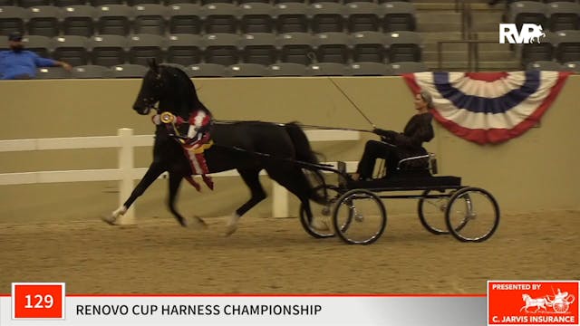 KFC19 - Class 129 - Hiro T Championship