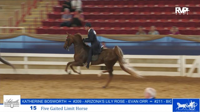 ASC24 - Class 15 - Five Gaited Limit ...