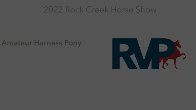 RC22 - Class 68 -  Amateur Harness Pony