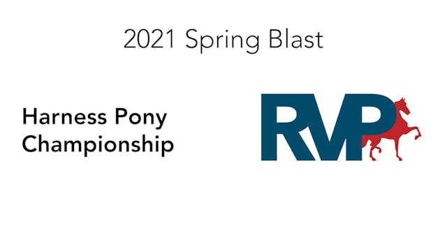 SB21 - Class 263 - Harness Pony Champ...