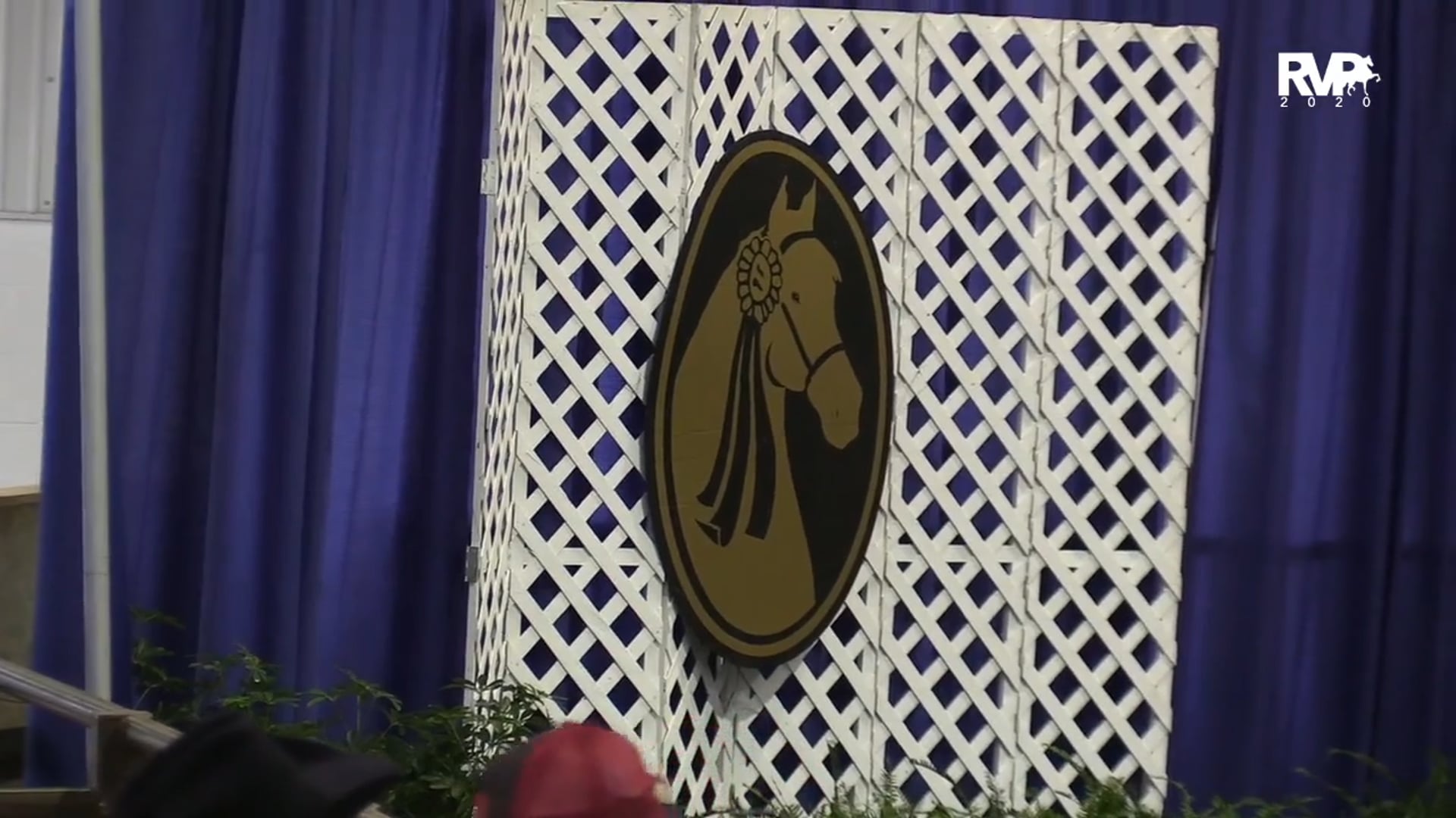 2020 MGN - 10:17 - Saturday Afternoon - Barn 8 Arena