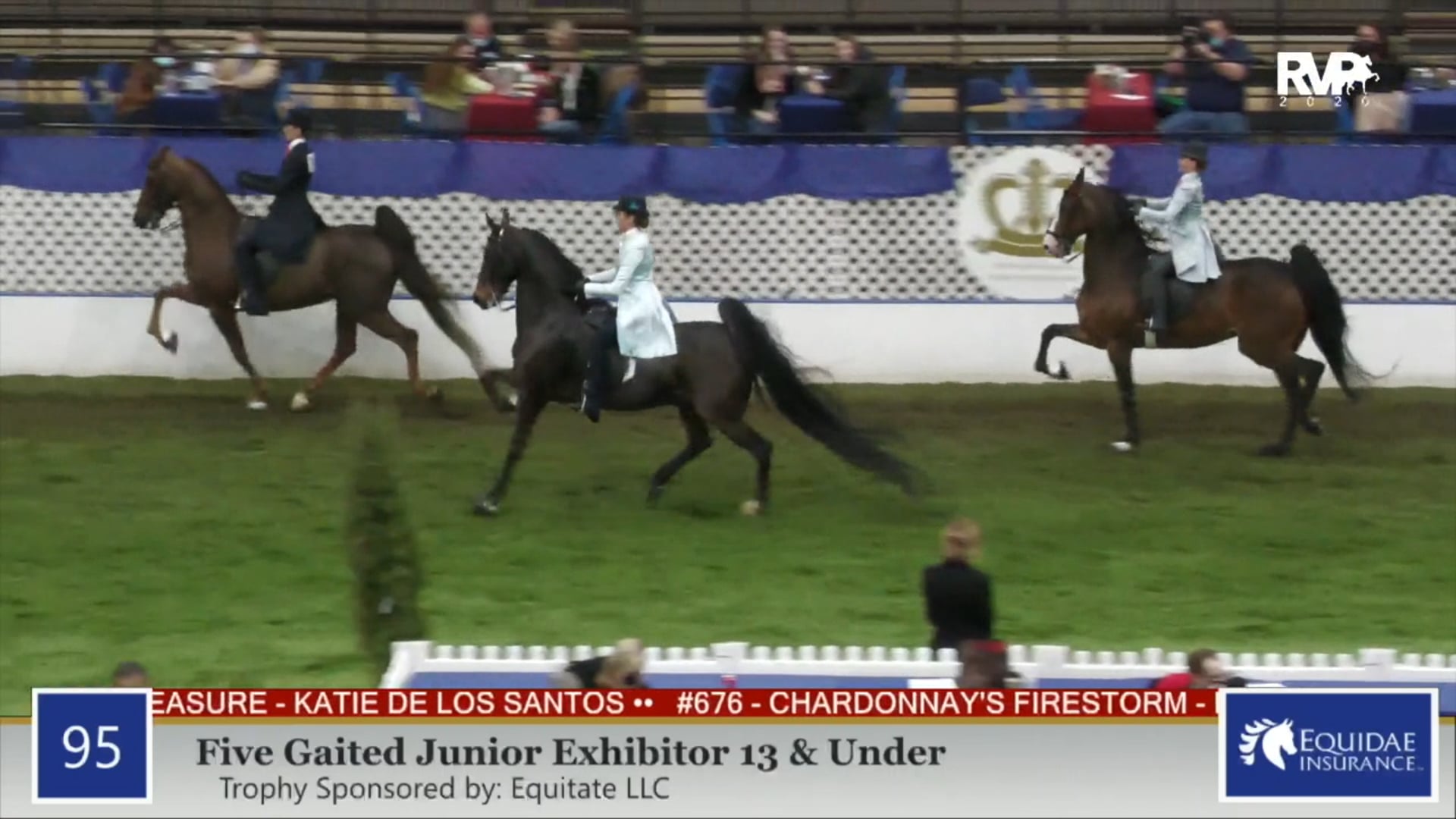 2020 AR - Class 95 Five Gaited Junior Exhibitor
13 & Under