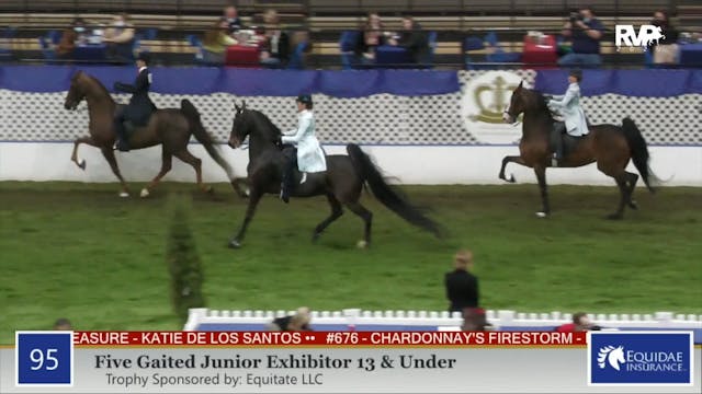 2020 AR - Class 95 Five Gaited Junior...