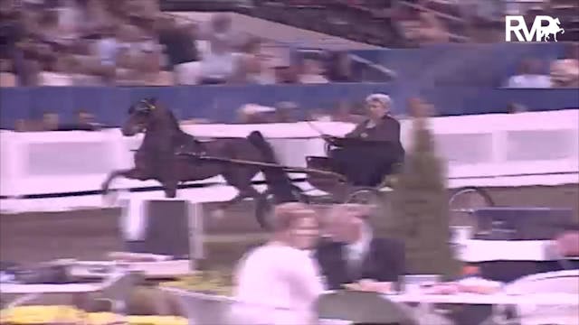 2003 WCHS Class 192 Amateur Harness P...