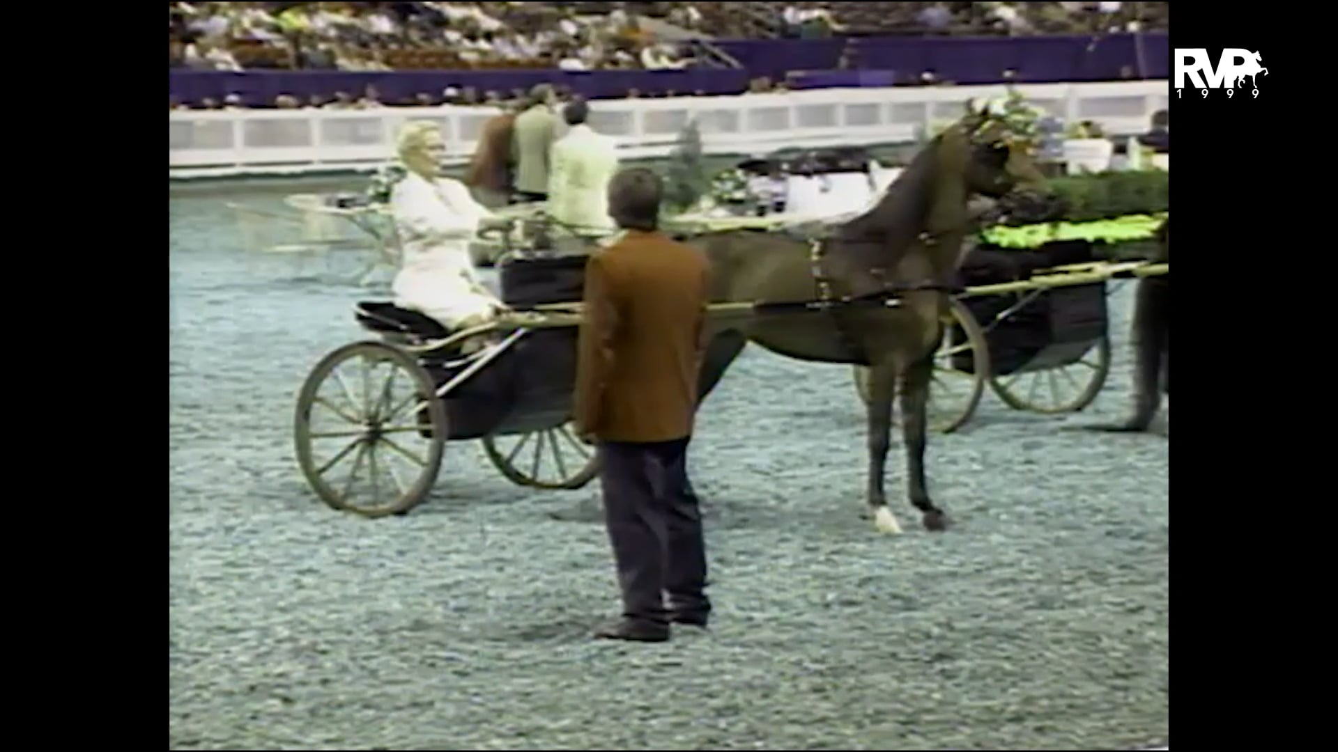 1999 WCHS - Class 37 Amateur Junior Hackney-Harness Pony Pleasure Driving