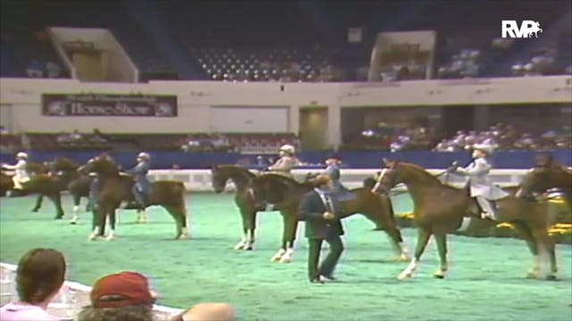 1992 WCHS Class 63 Equitation 10 & Under