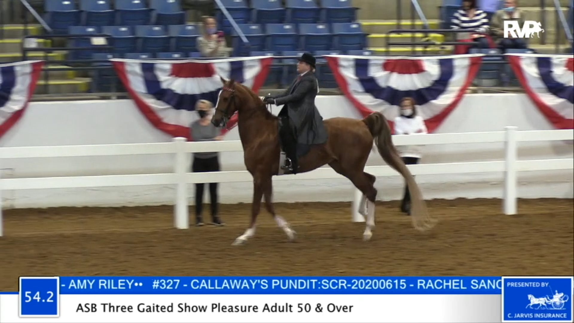 2020 BB - Class 54.2 ASB Three Gaited Show Pleasure Adult 50 & Over
