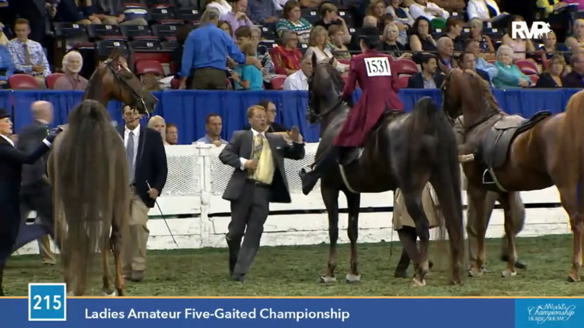2015 WCHS - Class 215 Ladies Amateur Five Gaited Championship