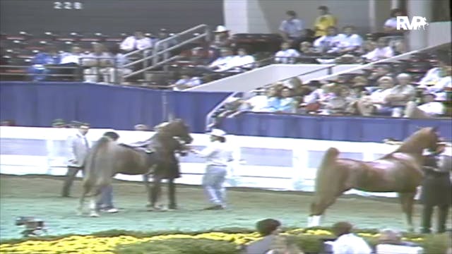 1991 WCHS Class 69 ASHA National Thre...
