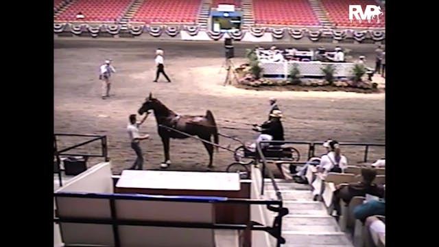 1998 Wisconsin Futurity - UPHA Fine H...