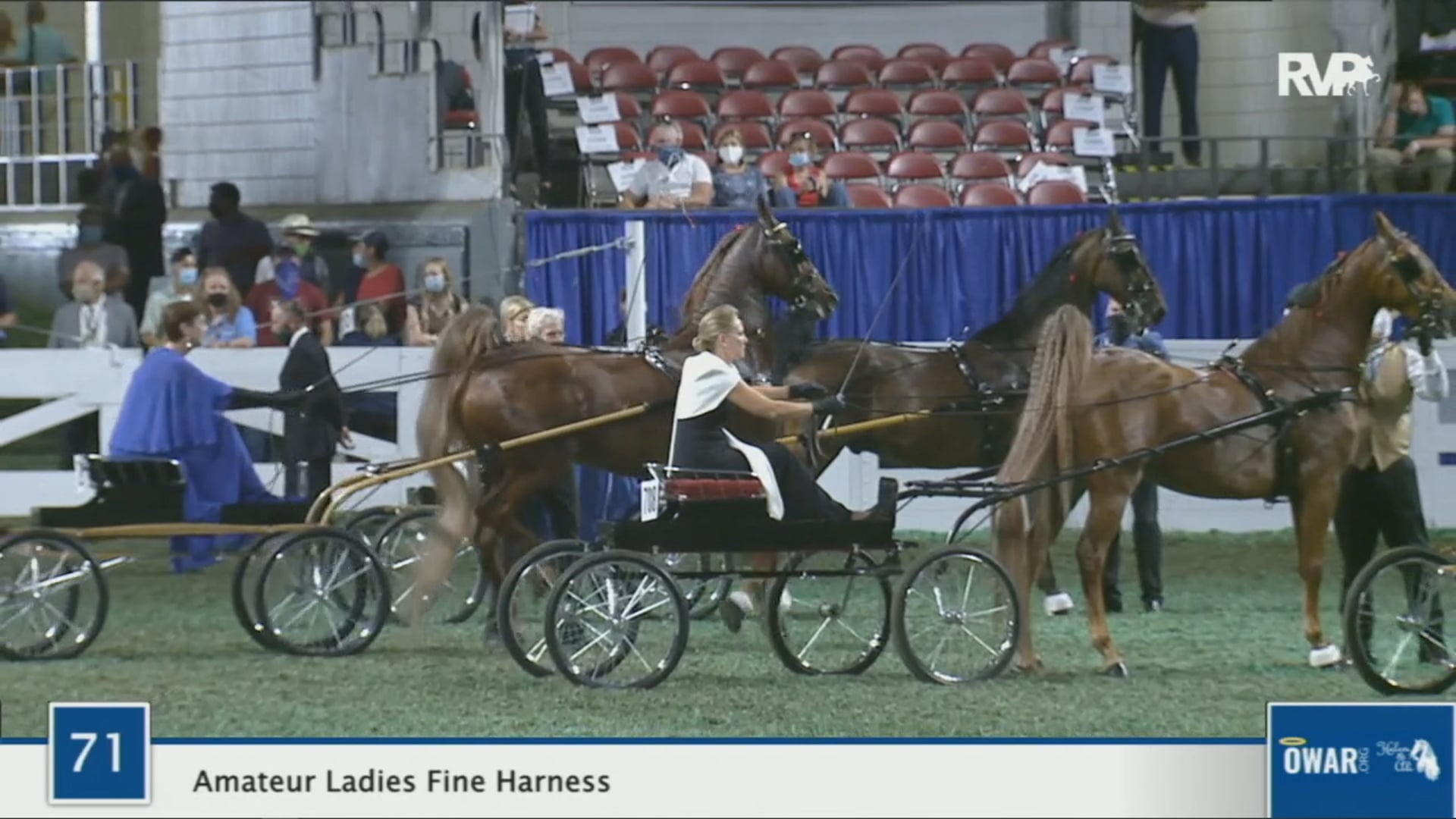 WCHS 2020 Class 71 - Amateur Ladies Fine Harness