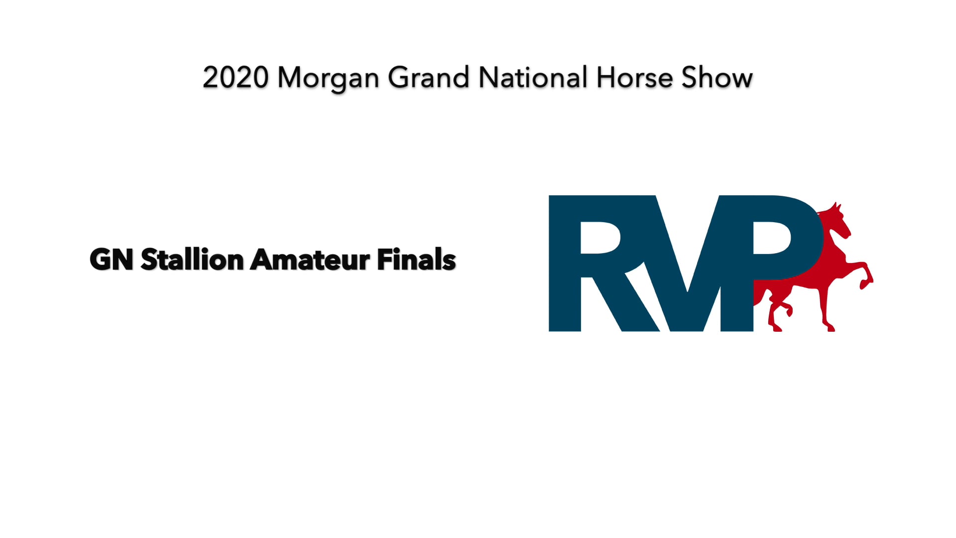 2020 MGN - Class 33 GN Stallion Amateur Finals