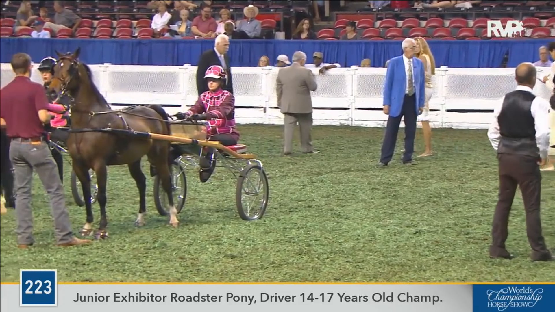 2016 WCHS - Class 223 Junior Exhibitor 14-17
Roadster Pony Championship